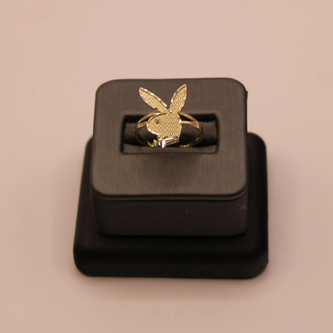 Anillos